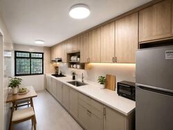 Blk 201A Compassvale Drive (Sengkang), HDB 4 Rooms #591497211